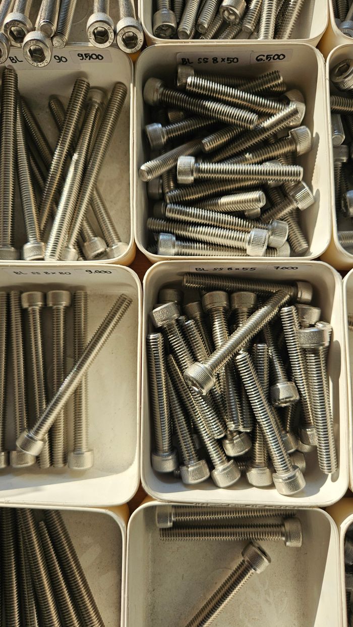 Tornillos y bulones metálicos organizados en cajetines